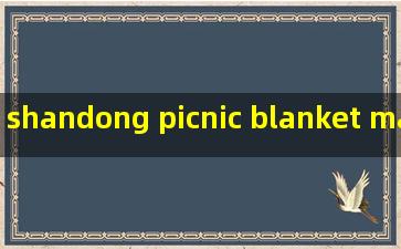 shandong picnic blanket manufacturers